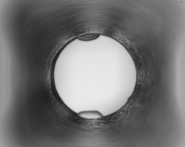 X0000096200098200802081548