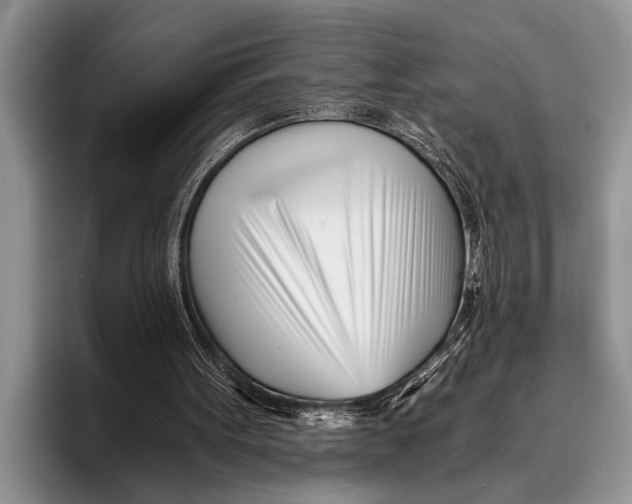 X0000096200099200802081548