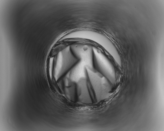 X0000096200100200802081548