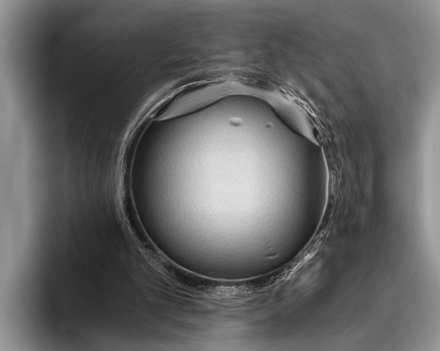 X0000096200101200802081548