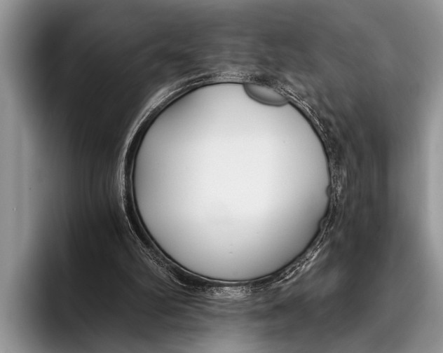 X0000096200102200802081548