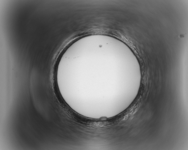 X0000096200103200802081548