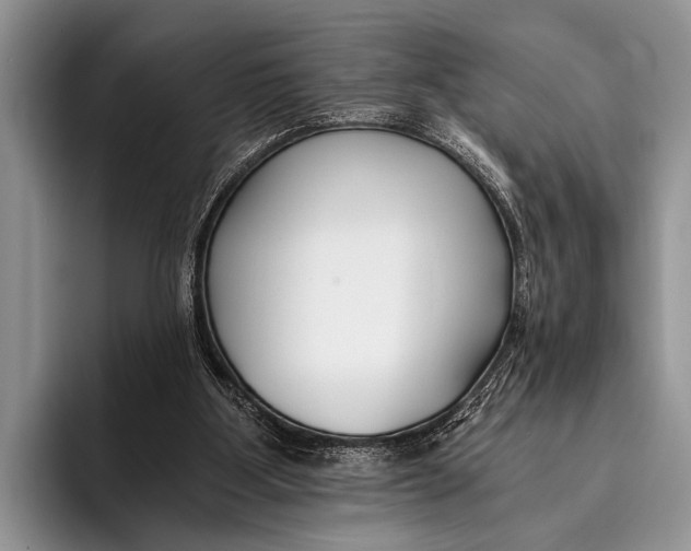 X0000096200107200802081548