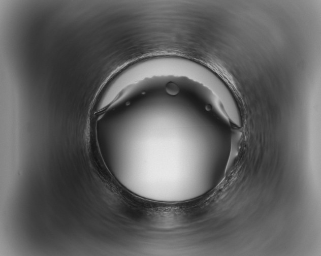 X0000096200108200802081548