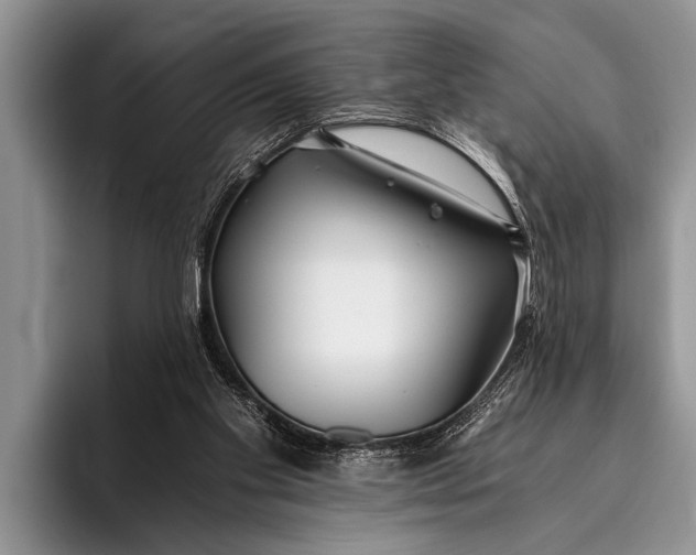 X0000096200109200802081548