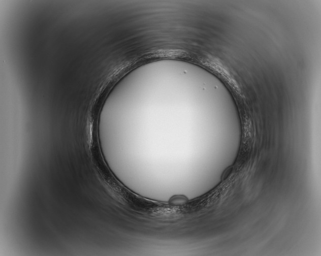 X0000096200110200802081548