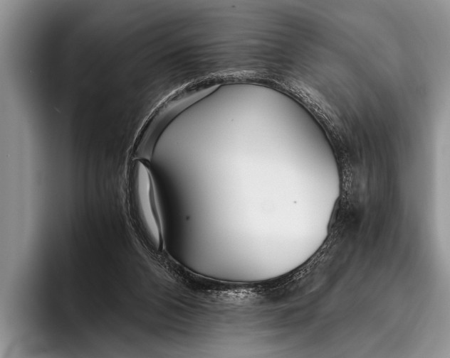 X0000096200112200802081548