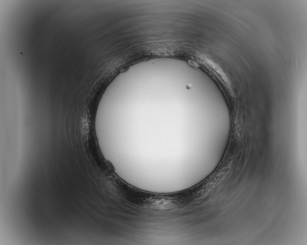 X0000096200113200802081548