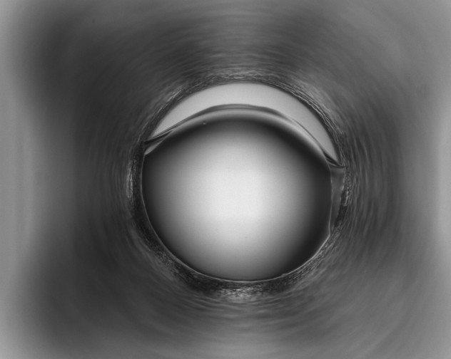 X0000096200120200802081548