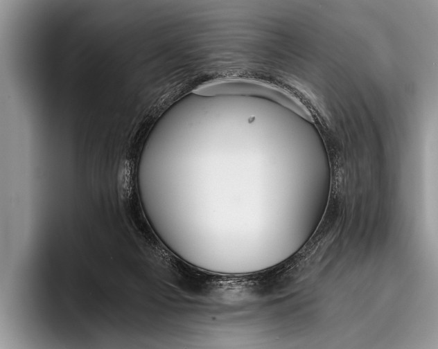 X0000096200121200802081548