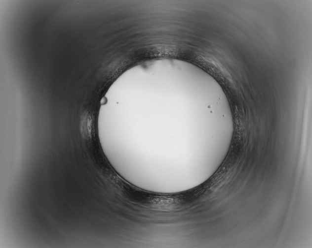 X0000096200123200802081548