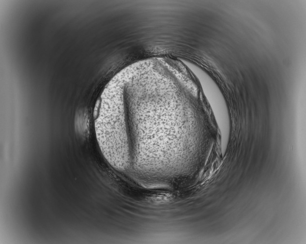 X0000096200124200802081548