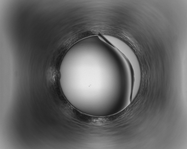 X0000096200125200802081548