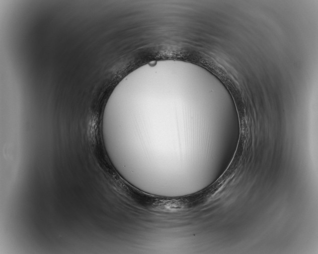 X0000096200127200802081548