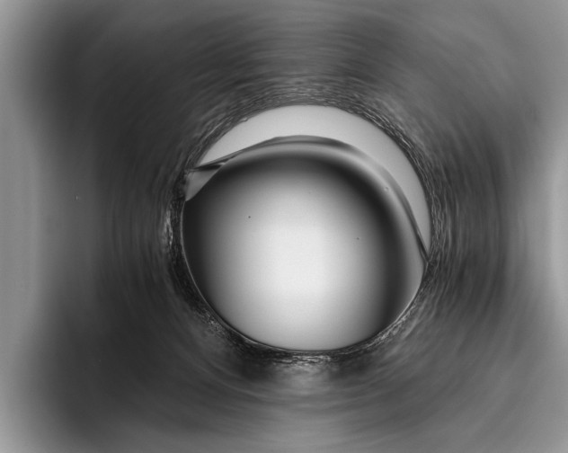 X0000096200128200802081548