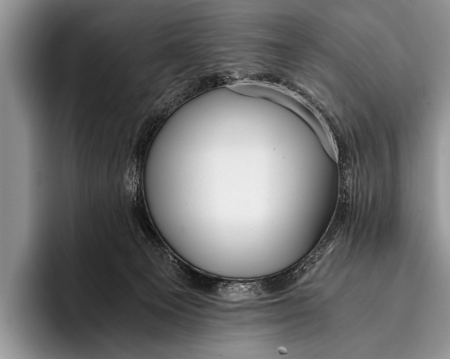 X0000096200129200802081548