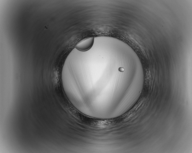 X0000096200130200802081548