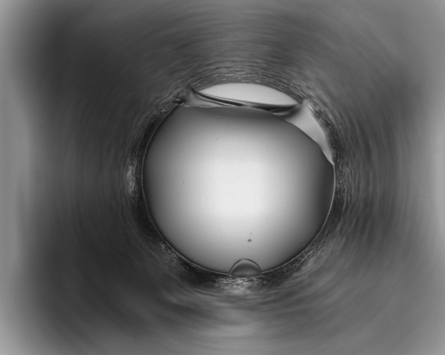 X0000096200131200802081548