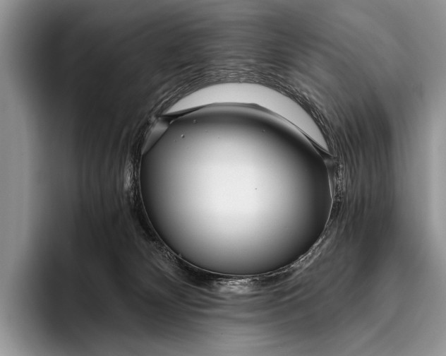 X0000096200132200802081548