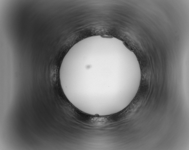 X0000096200133200802081548