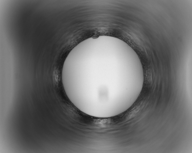 X0000096200135200802081548