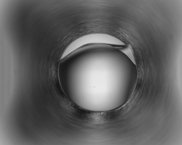 X0000096200136200802081548