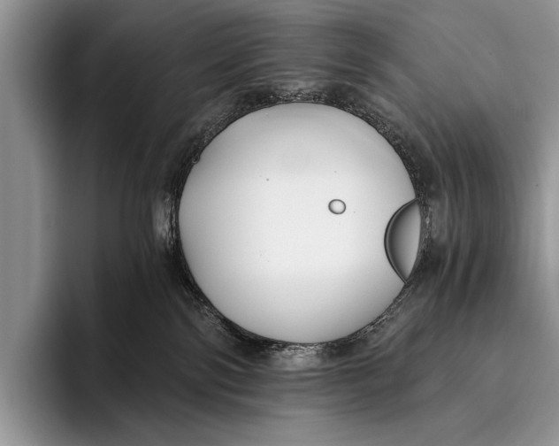 X0000096200138200802081548