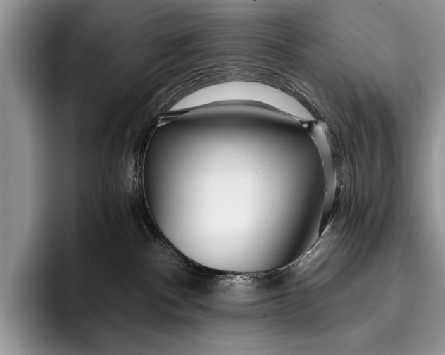 X0000096200140200802081548