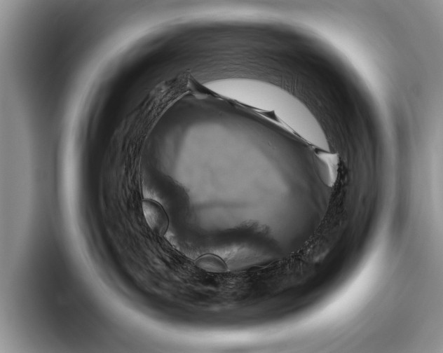 X0000096200143200802081548