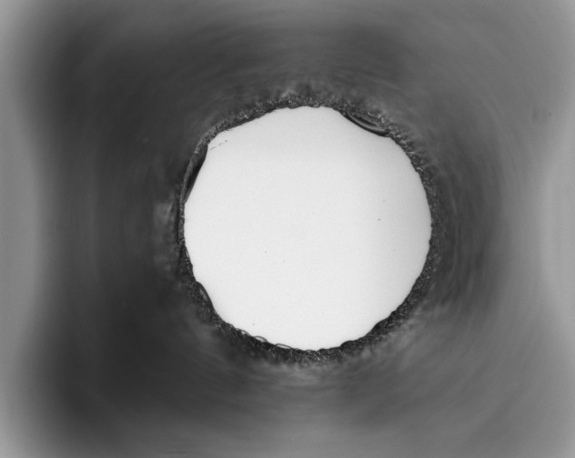 X0000096200144200802081548