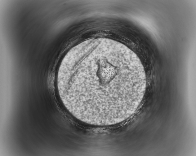 X0000096200146200802081547