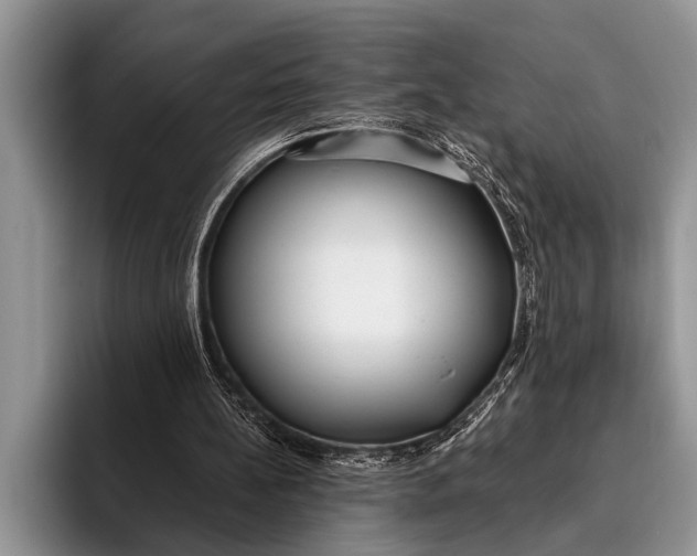 X0000096200148200802081547