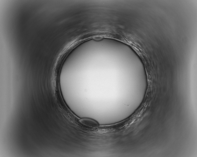 X0000096200149200802081547