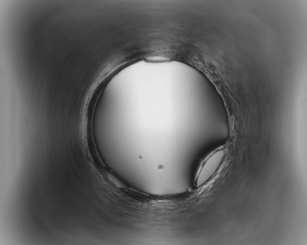 X0000096200150200802081547