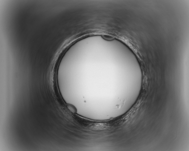 X0000096200151200802081547