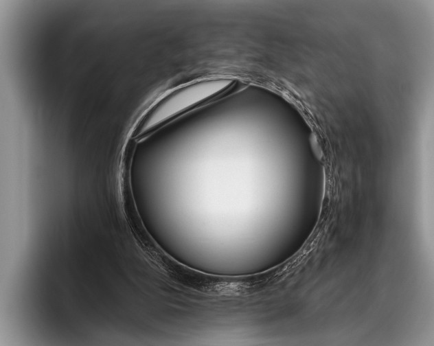 X0000096200152200802081547