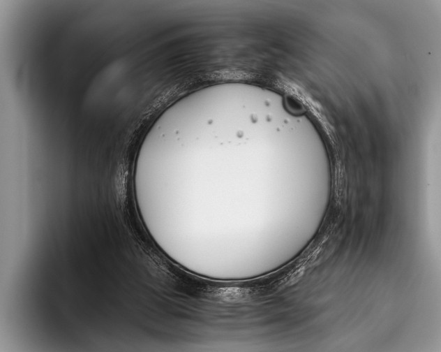 X0000096200153200802081547