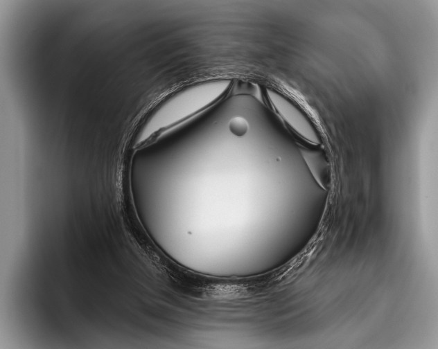 X0000096200154200802081547