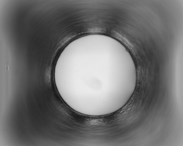 X0000096200155200802081547