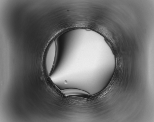 X0000096200156200802081547