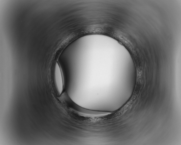 X0000096200158200802081547