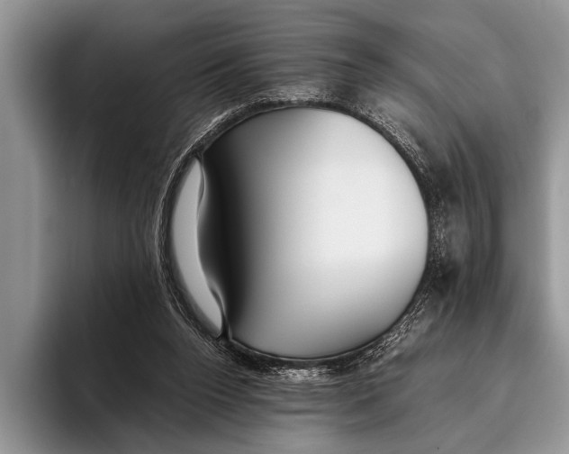 X0000096200160200802081547