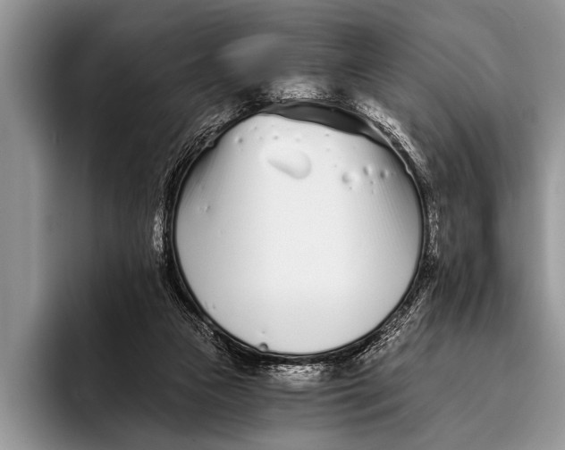 X0000096200161200802081547