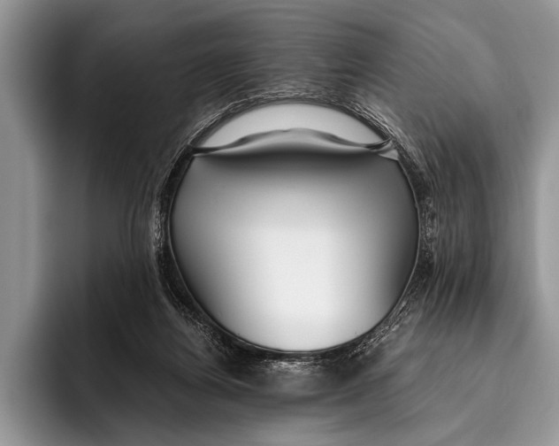 X0000096200164200802081547