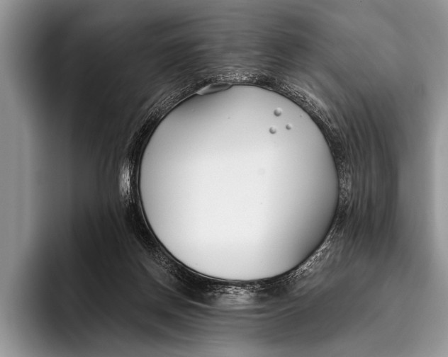 X0000096200166200802081547