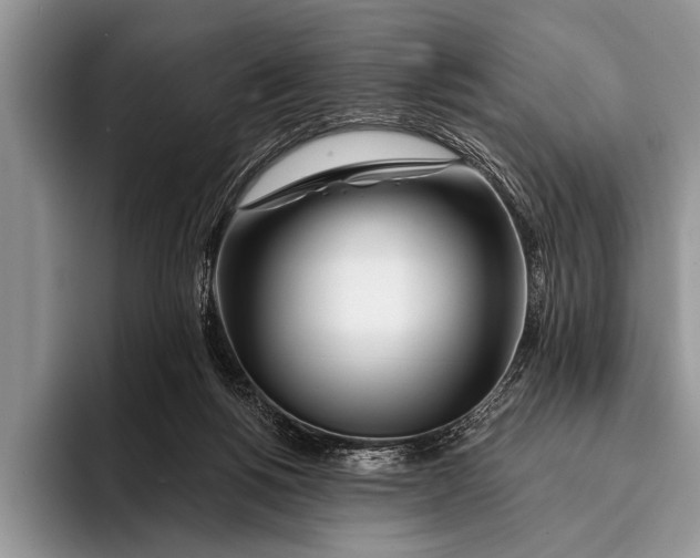 X0000096200168200802081547