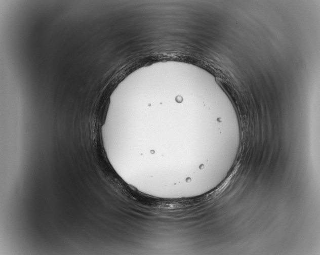 X0000096200174200802081547