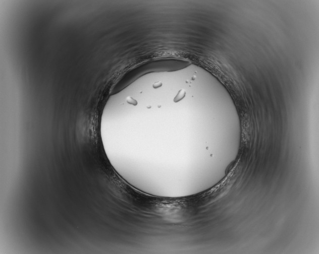 X0000096200175200802081547