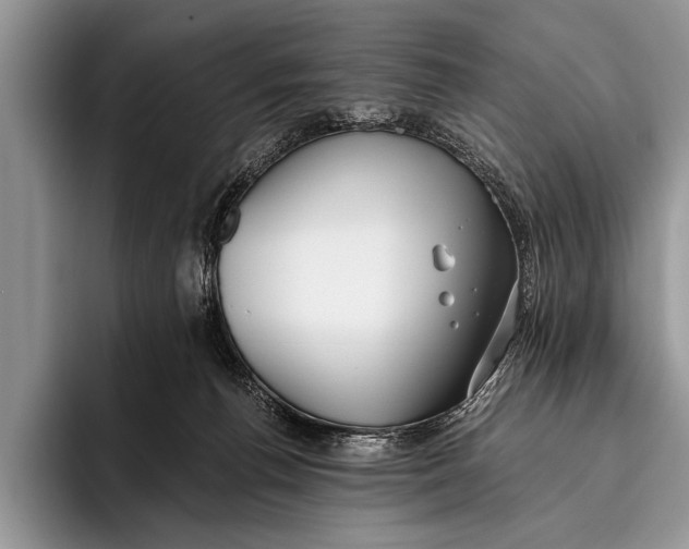 X0000096200176200802081547