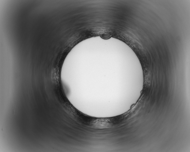 X0000096200179200802081547